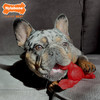 Nylabone Power Chew Lobster Dog Toy Filet Mignon, 1ea/Medium/Wolf  Up To 35 Lbs. 1 ct
