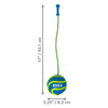 KONG Bunji HighViz Ball Dog Toy Assorted, 1ea/LG