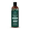 Pet Releaf Skin & Coat Dog 16oz. Itchy & Dry Shampoo Cbd 100Mg