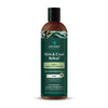 Pet Releaf Skin & Coat Dog 16oz. 2-In-1 Shampoo & Conditioner Cbd 100Mg