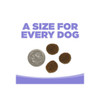 NutriSource Element Series Grain Free Dry Dog Food Upland Stream 12lb