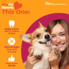 Nylabone Strong Chew Wishbone Dog Chew Toy Made with Real Bacon, Small (1 ct)