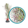 Weco Products Marine Pro Series Fine Branch Kelp Aquarium Plant Green, 1ea/30 in