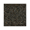 Kaytee Black Oil Sunflower Food 1ea/20 lb