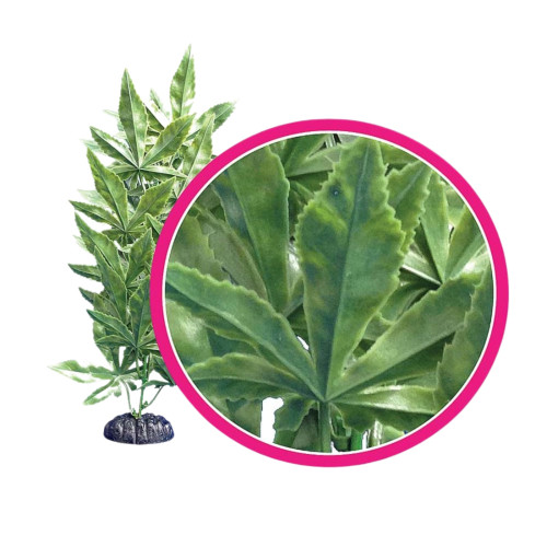 Weco Products Dream Series Hash Aquarium Plant Green, 1ea/9 in