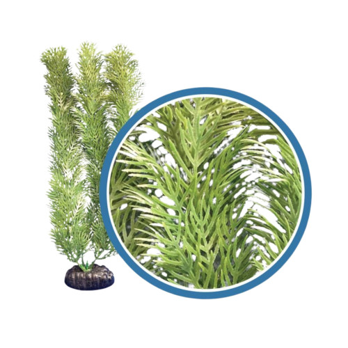 Weco Products Freshwater Pro Series Cabomba Aquarium Plant Green, 1ea/6 in
