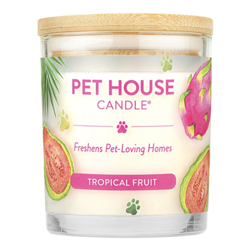 Pet House Tropical Fruit Large Candle (Case of 3)