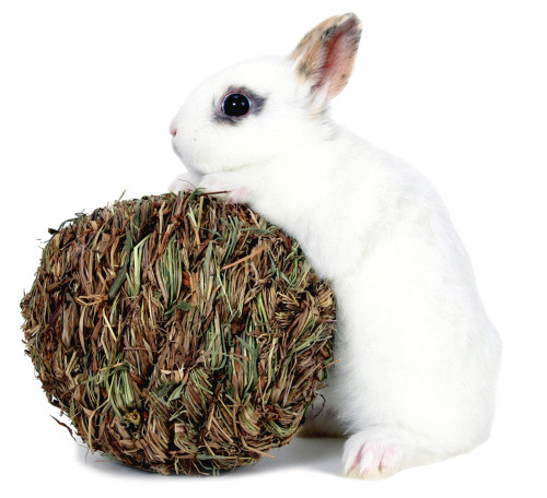 Marshall Pet Products Woven Grass Play Ball For Small Animals Light Green 1Ea