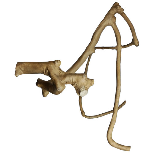 A  E Cages Java Wood Multi Branch Bird Perch 1ea/LG