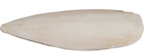 Prevue Pet Products 4in Bulk Cuttlebone 25 per box with Holder