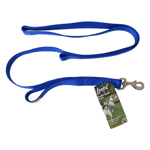 Coastal Loops 2 Double Handle Nylon Leash Blue 1X6Ft
