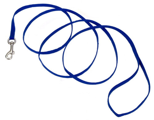 Coastal Single-Ply Nylon Leash Blue 3/8X6Ft