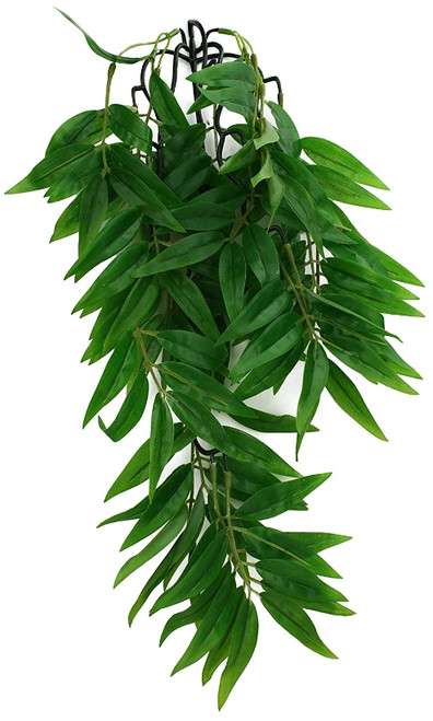 Komodo Bamboo Hanging Vine Terrarium Plant Small - 1 count