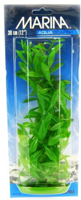 Marina Hygrophila Plant 12" Tall