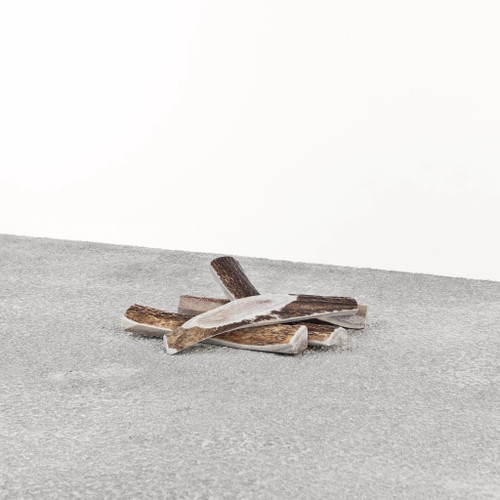 PRIMAL DOG STAG ANTLER MEDIUM