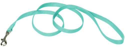 4 feet x 5/8"W Coastal Pet Single-ply Teal Nylon Dog Lead