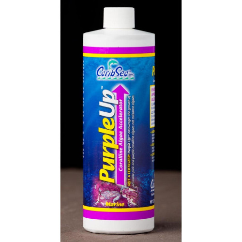 CaribSea PurpleUp Coralline Algae Accelerator 1ea/8 floz.
