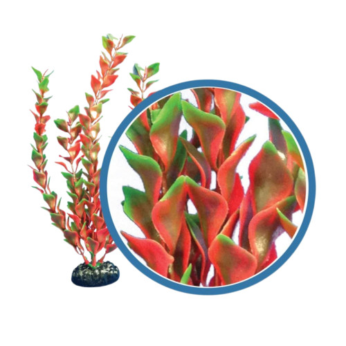 Weco Products Freshwater Pro Series Ludwigia Aquarium Plant Red, 1ea/24 in