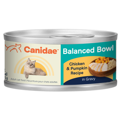 CANIDAE Balanced Bowl Canned Cat Food Chicken  Pumpkin, 24ea/3 oz