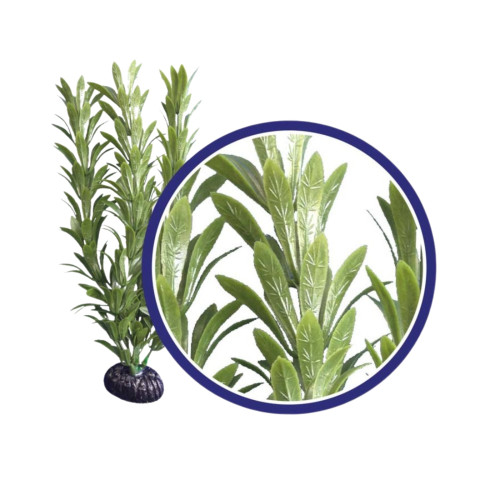 Weco Products Freshwater Series Anacharis Aquarium Plant Green, 1ea/6 in