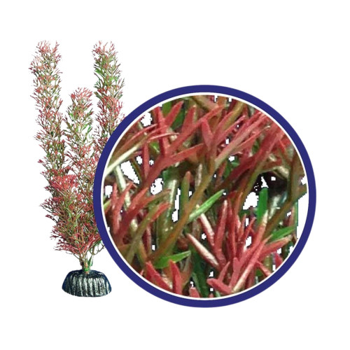 Weco Products Freshwater Series Foxtail Aquarium Plant Red, 1ea/18 in