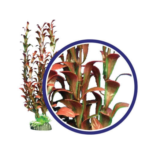 Weco Products Freshwater Series Hygrophilia Aquarium Plant Red, 1ea/6 in