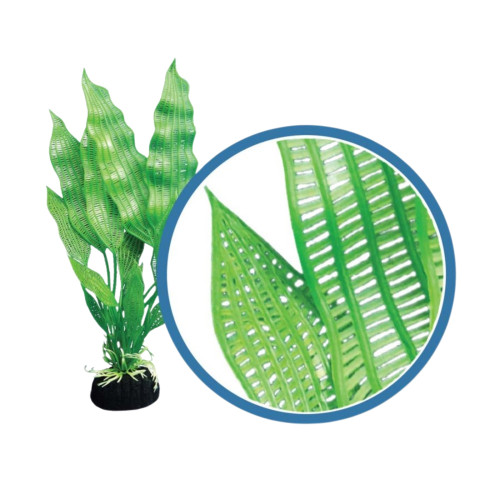 Weco Products Freshwater Pro Series Madagascar Lace Aquarium Plant Green, 1ea/18 in