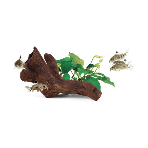 aquavitro Ceramic Hides Aquatic Ornament B2, 1ea/One Size