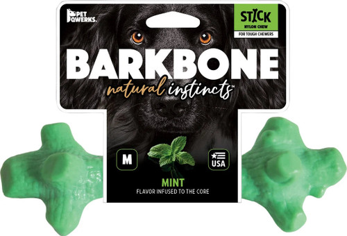 Pet Qwerks  Dinosaur Barkbone Breath Stick Mint Medium