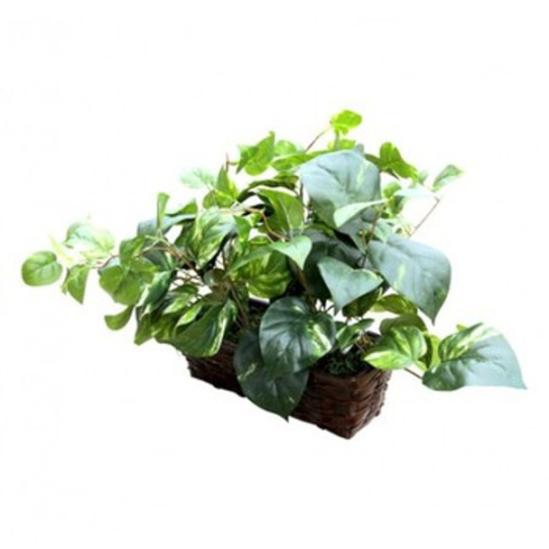 Wi‑Fi Decorative Plant Camera for Home Monitoring