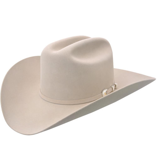 Stetson 10X Shasta Felt Hat - Silver Belly