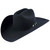 Stetson 6X High Noon Cowboy Felt Hat.