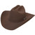 Stetson 6X Skyline Cowboy Felt Hat - Sahara