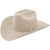 Stetson 6X Skyline Cowboy Felt Hat -  Silver Belly
