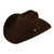 Stetson - Carson - 6x - Silverbelly