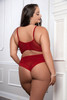 Cinnamon Red 2pc Satin Bra and High Waist Panty - Queen Size