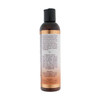 Balance Splash - Mango Passion - 8.5 Fl. Oz. (251 ml)