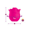 Zen Rose - Hot Pink