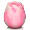 Bl the Rose Lovers Gift Box - Pink Swirl