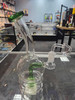 Obsidian Glass Showerhead Ball Rig (8")