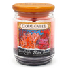 Timberwick Black Sands Candles 13oz