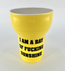 Ray Of F*cking Sunshine Double Wall Insulated Mug 16oz