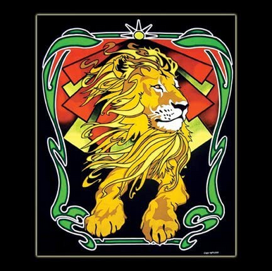 Wonder Wall Tapestry 90 x100 Rasta Lion Shag Alternative Superstore