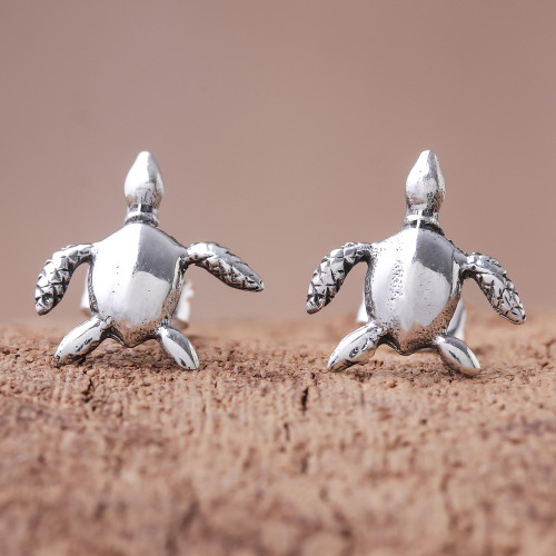 Sterling Silver Sea Turtle Stud Earrings from Thailand 'Sea Turtle Bliss'