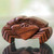 Crab Theme Puzzle Box 'Balinese Crab'