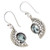 Sterling Silver Hook Earrings with Blue Topaz Gems 'Blue Eyes'