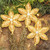 Three Gold Poinsettia Handcrafted Beaded Christmas Ornaments 'Golden Poinsettia'