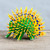 Yellow and Green Copal Wood Alebrije Porcupine Sculpture 'Cute Porcupine'