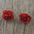 Natural Rose Button Earrings in Red from Thailand 'Flowering Passion in Red'