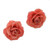 Natural Rose Button Earrings in Pink from Thailand 'Flowering Passion in Pink'